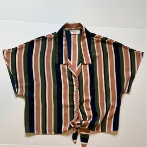 Sage Multicolor Striped Blouse